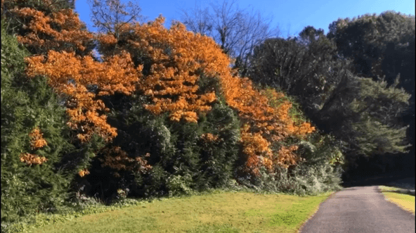 49a6ea26_88b1_4e16_8b1d_4f3c9a4182c5.gif