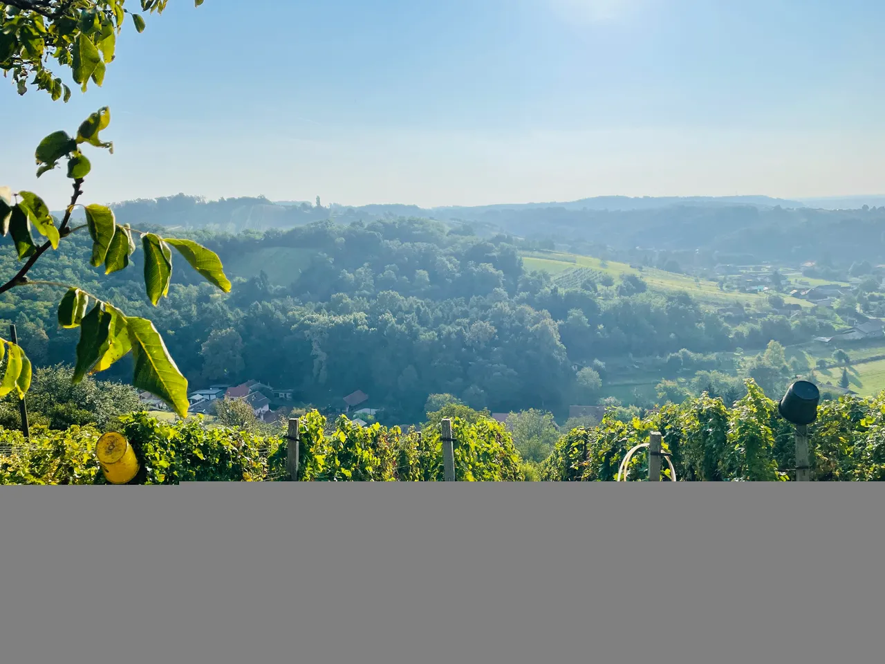 96528BE0-540B-429F-B169-D596AD492207.jpeg