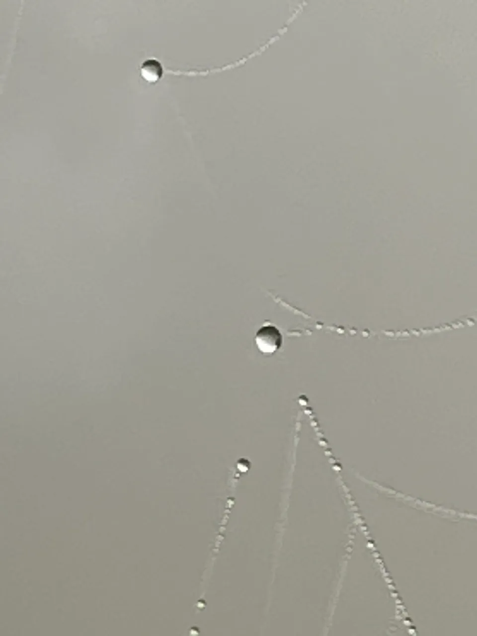 D01540C8-F406-41FC-8F9E-2BAE893ECE20.jpeg