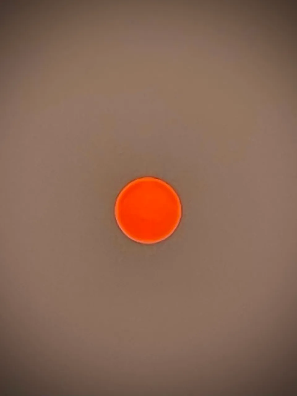 FA335F8F-48FF-46D9-8490-F4C164DC7F0A.jpeg