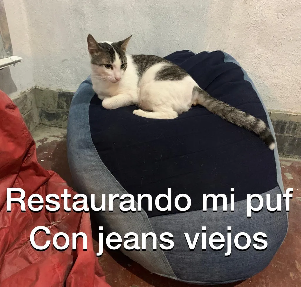 73EDD294-7DB5-43AE-97CA-005DBD193EEB.jpeg