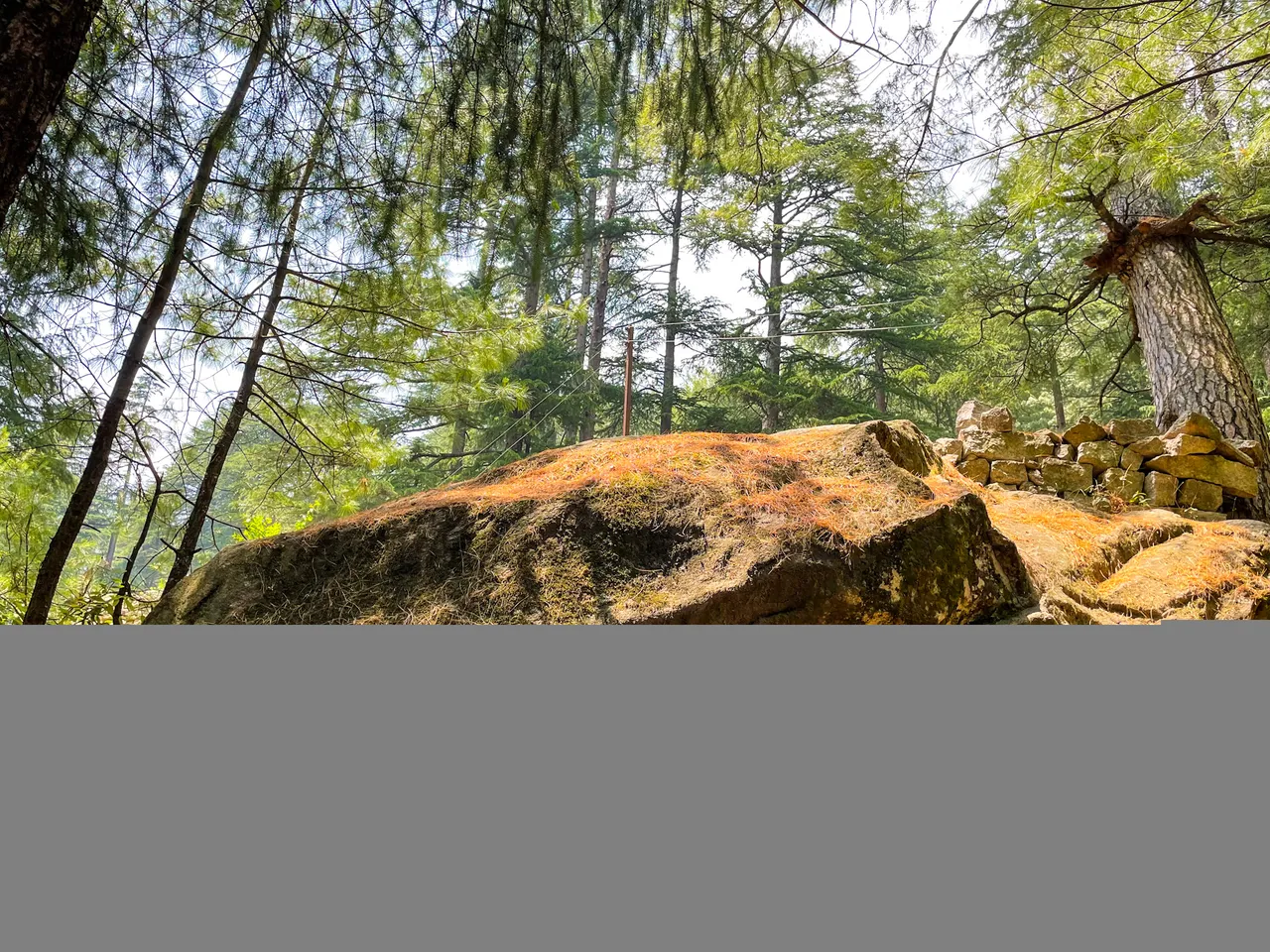 A061AE34-4EC3-488F-9A17-3695AACF40E2.jpeg
