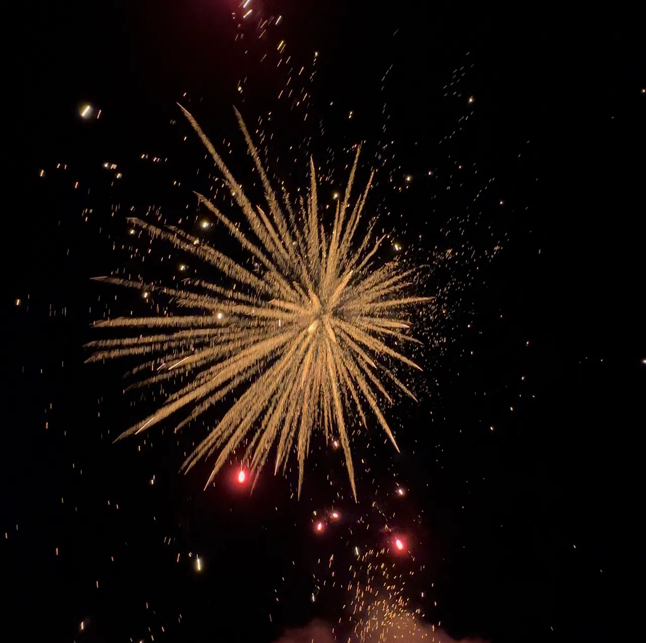 6E4B5DF1-404A-443B-9010-802A58D4DF0D.jpeg