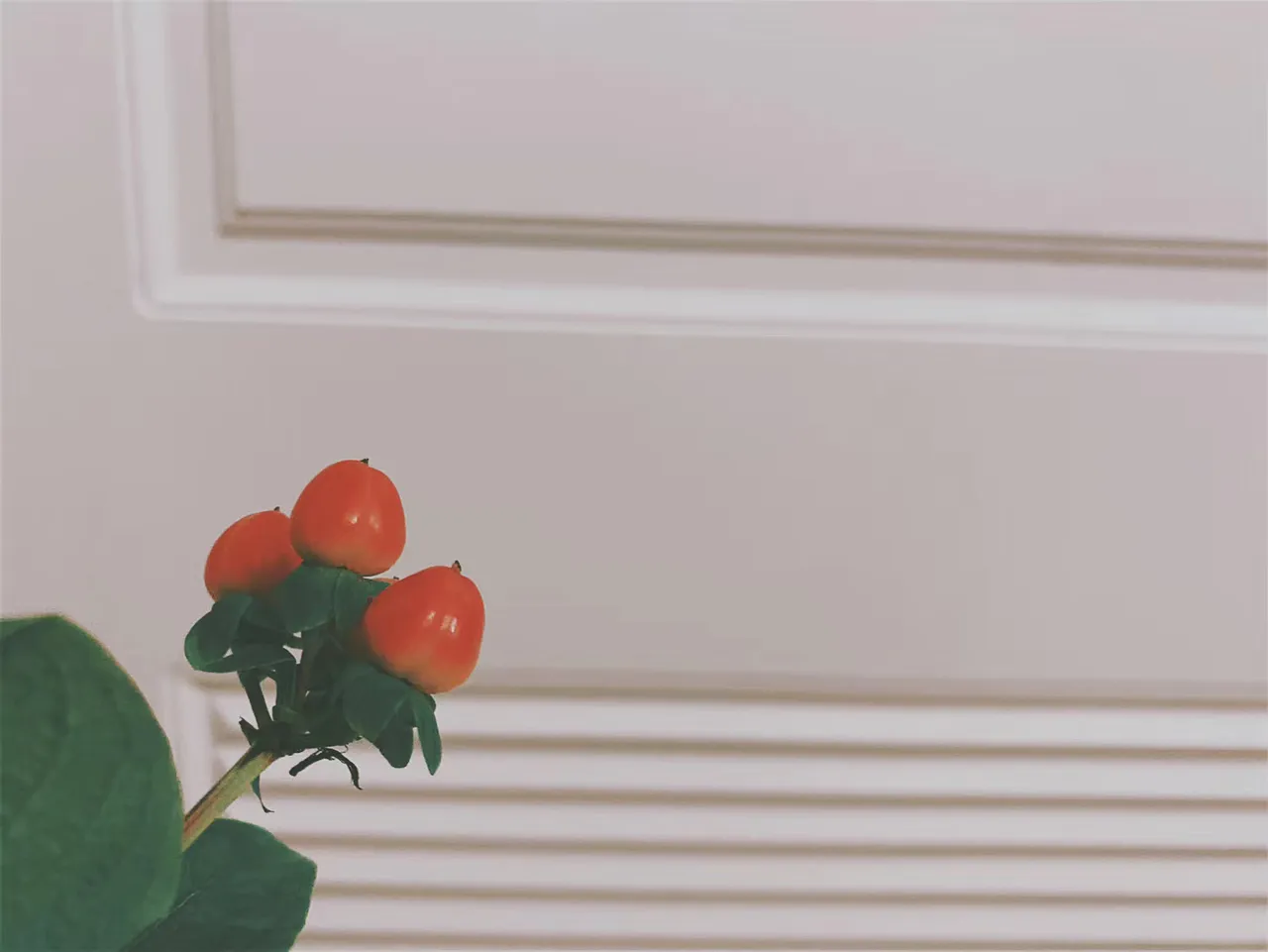 F5727B9E-5957-497E-8A3A-5E645245ABD1.jpeg