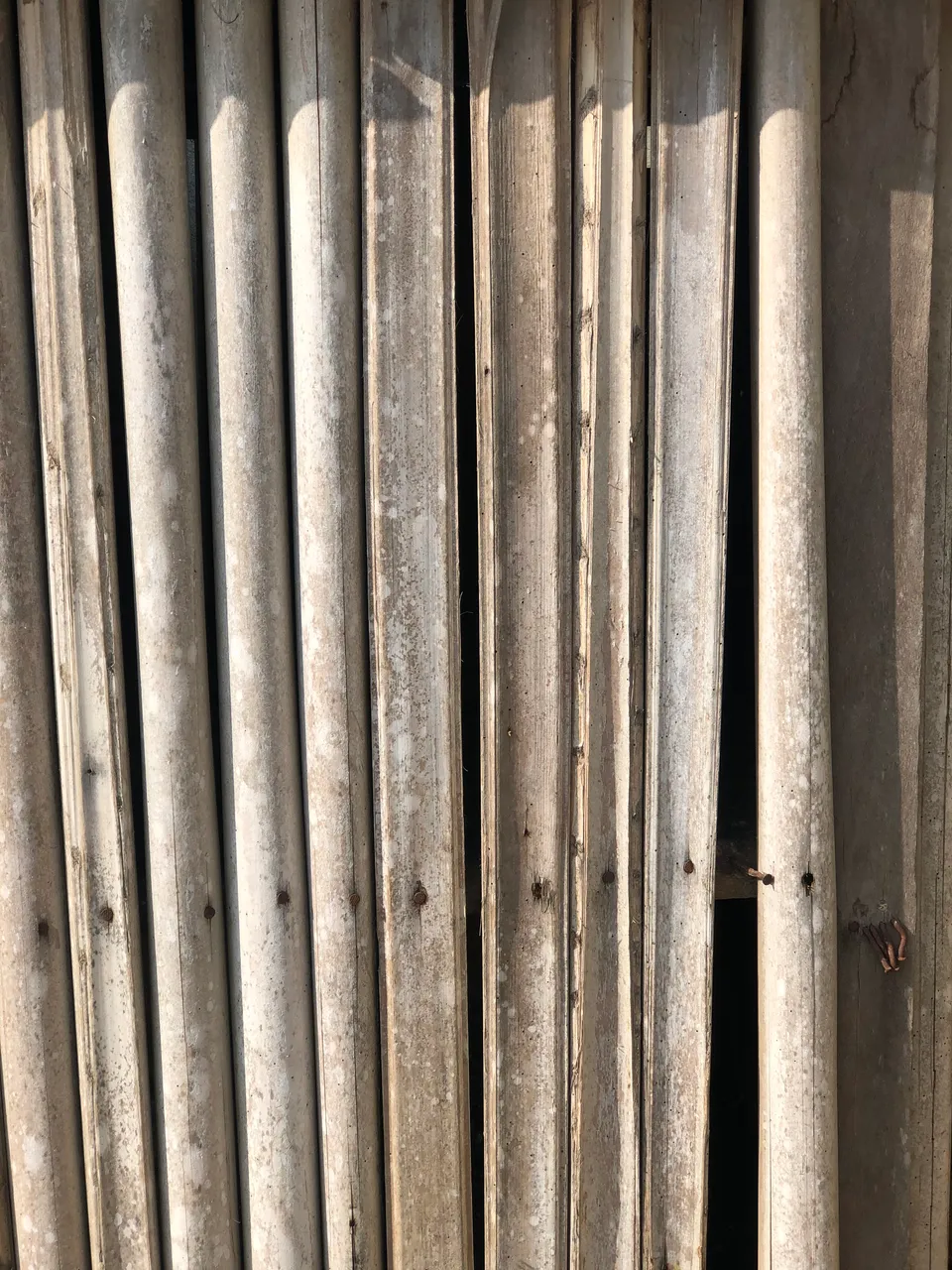 1C937538-1E5F-4A8B-85B7-CA4569E97209.jpeg