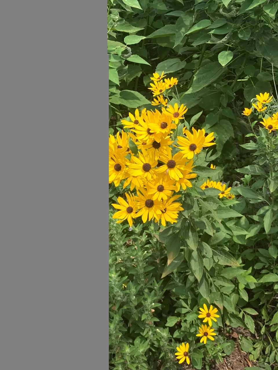 6D654472-3DE4-4F30-BD51-8C8E453A45B1.jpeg