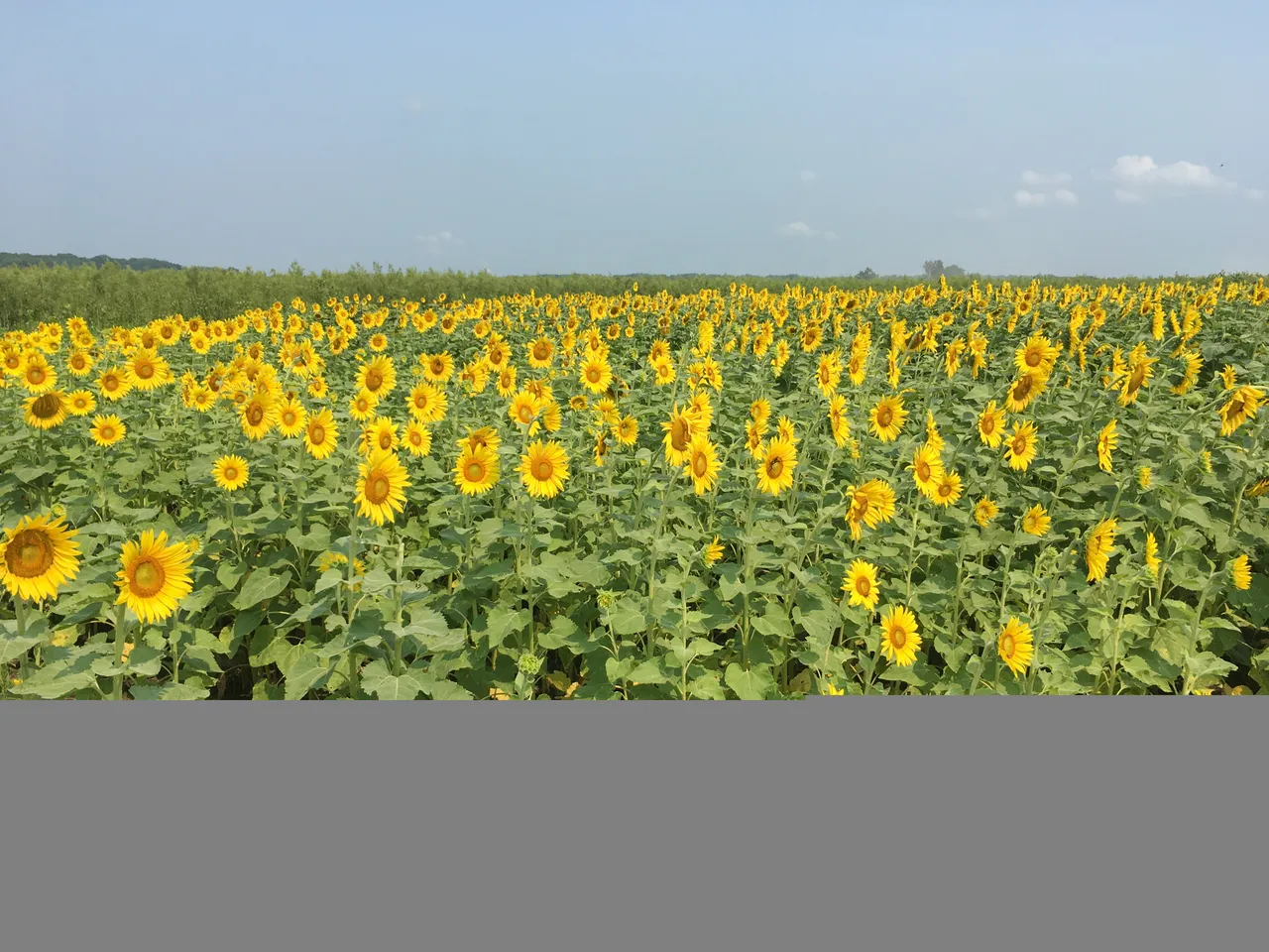92B2C2DA-7631-4FC4-A73E-8A3F15930A26.jpeg