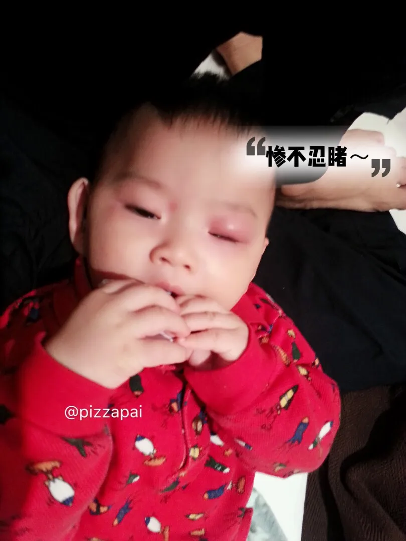 3D56BDBB-45D6-4097-A337-B1448D3670E6.jpeg