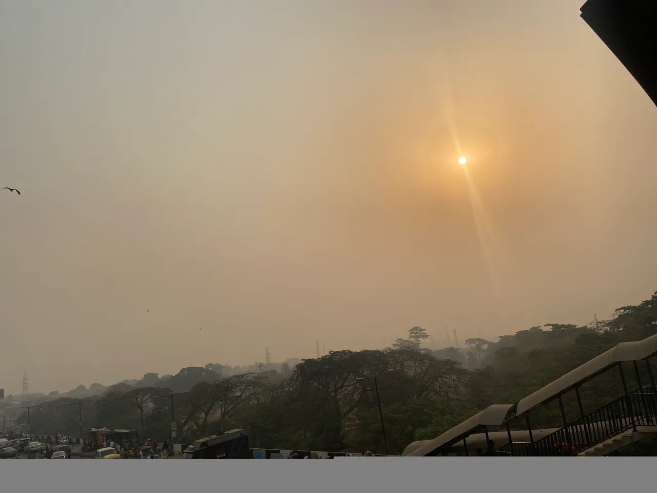 B7423DF4-52A5-4CEF-8735-3475D303C71D.jpeg