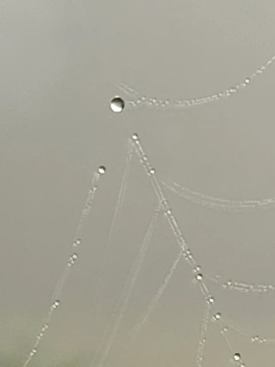 2F7CDA40-32C3-4247-BBCA-FD376E5750C0.jpeg