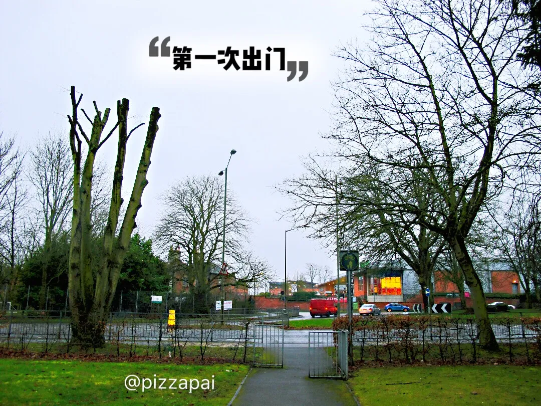 CCA1CF04-F983-4555-B314-CC06CA2186F6.jpeg