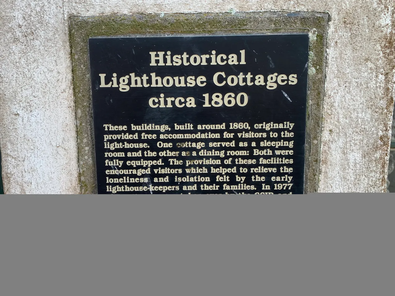 C0940F1D-BAA2-4A32-B755-CF00CD2F7128.jpeg