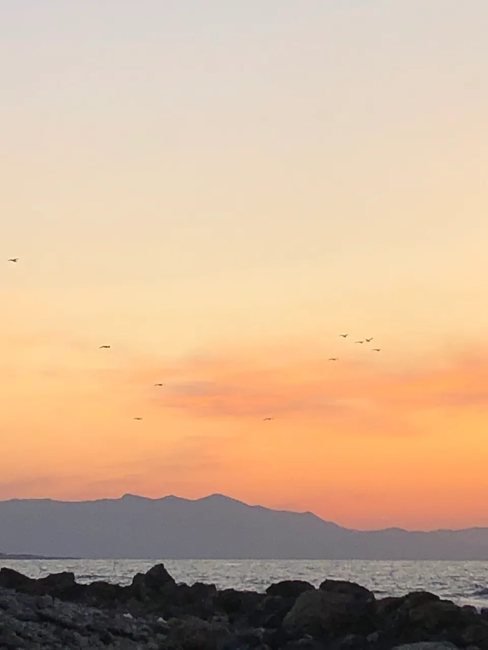 8EE134E7-3DF1-4BAF-A1C3-AD2CE5459758.jpeg