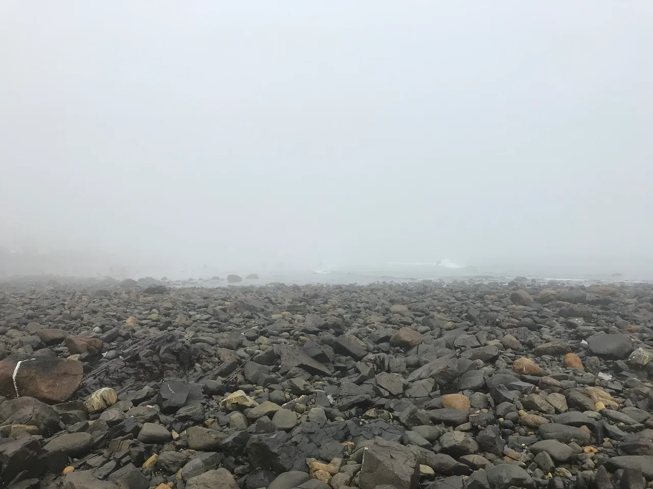 517B5970-8153-4E8F-B6EA-BA42D5B3BB82.jpeg