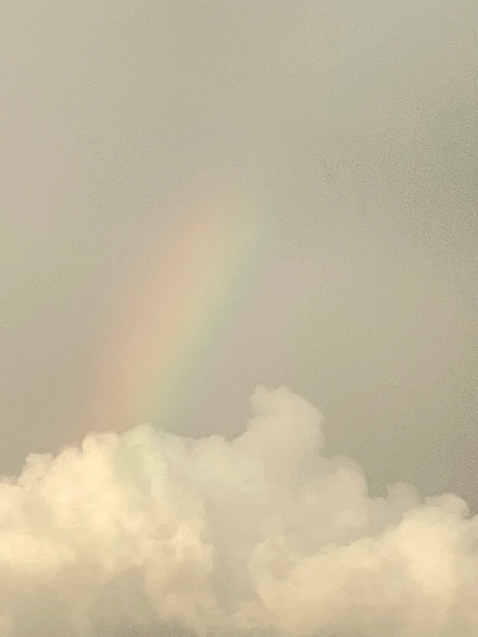 50C40B71-DBDC-4E6F-AD74-1D327E93B7DE.jpeg
