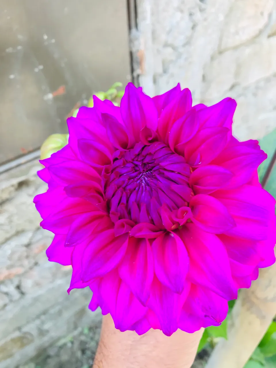 63666042-8680-4899-AF50-1517C995C625.jpeg
