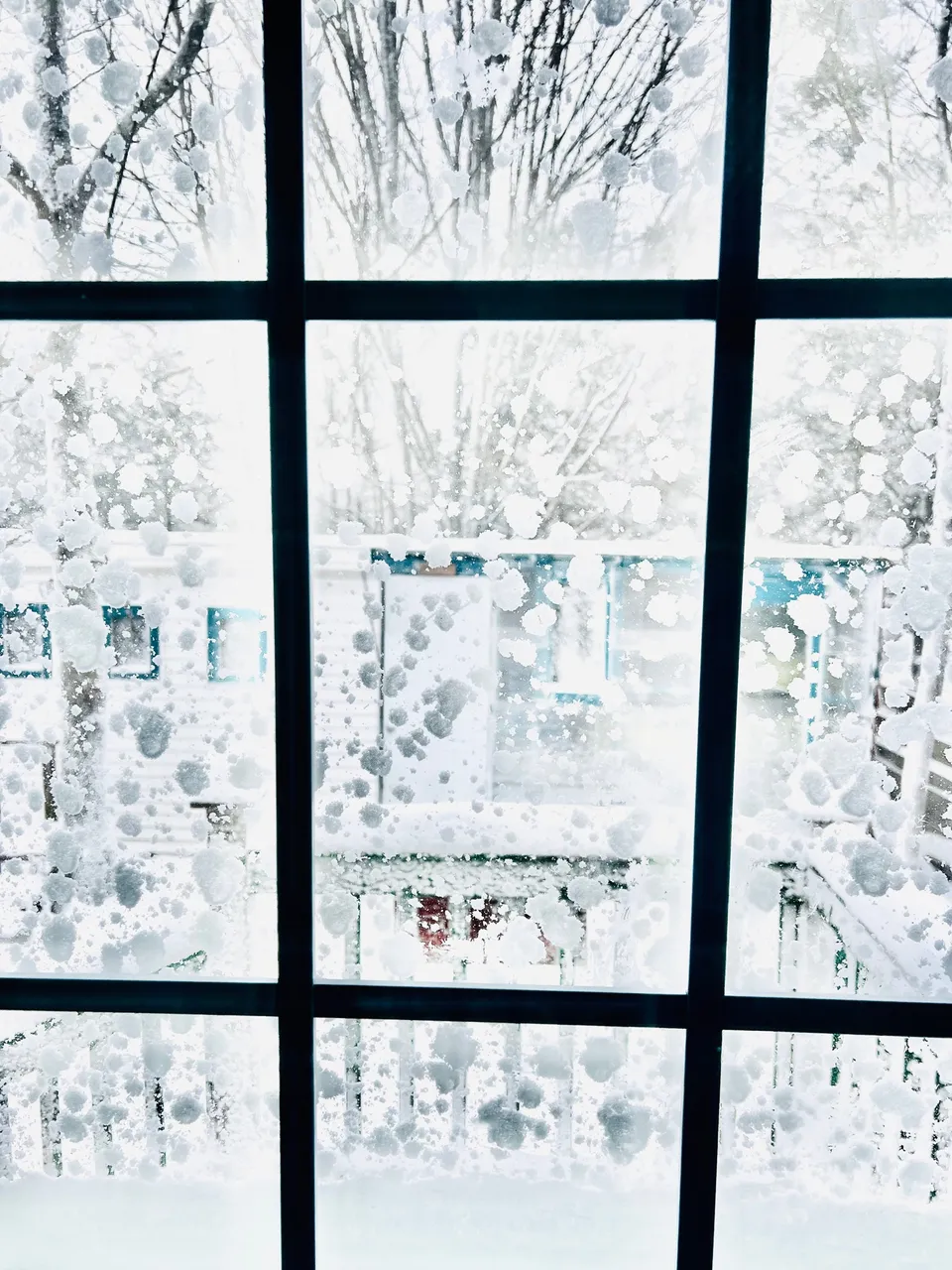 25459968-8D38-472D-A186-5D851925507F.jpeg