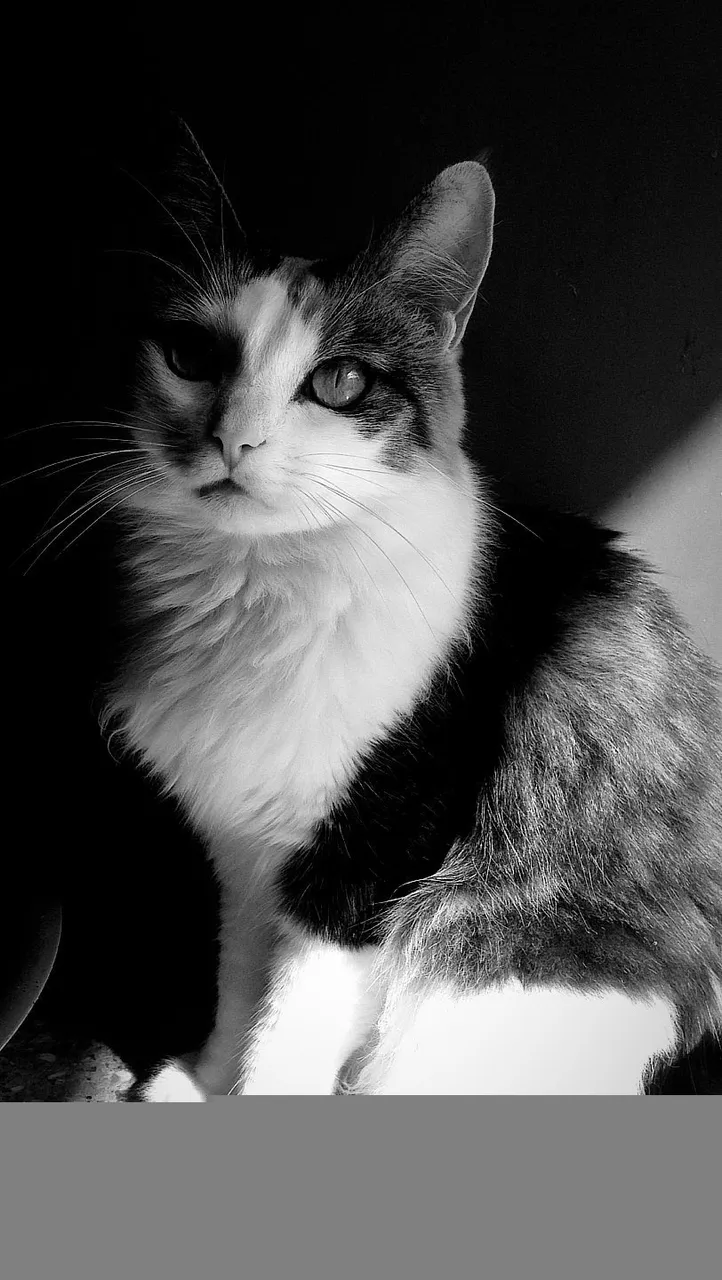 B08F4554-AAEA-4400-A363-112A4815EE9B.jpeg