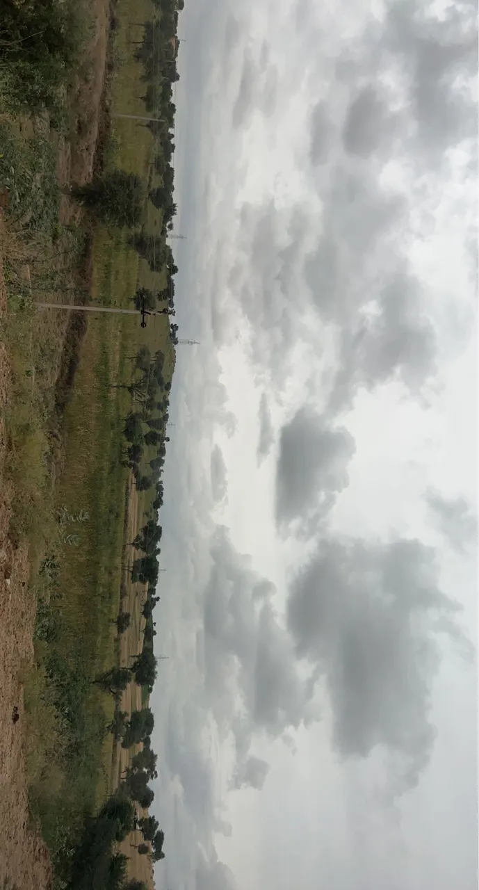 0532E71D-3F52-4639-84FD-8EE34E035689.jpeg