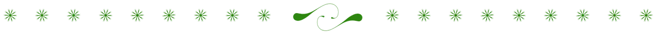 page divider dk green stars.png