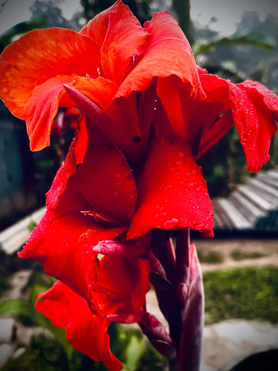 B4425044-2D00-429D-8D96-34885BCCB652.jpeg
