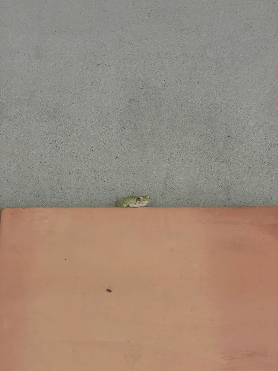 17940530-D035-4540-AB9A-C378E9DEA029.jpeg