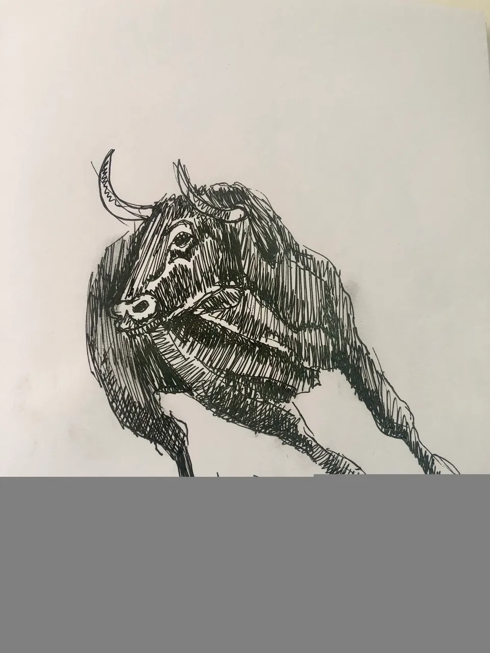 2C1E942F-7D0D-4D22-A338-96BF6B14967A.jpeg