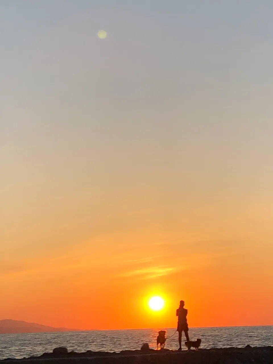 1353F167-1059-45B3-9A3E-343C053A8027.jpeg