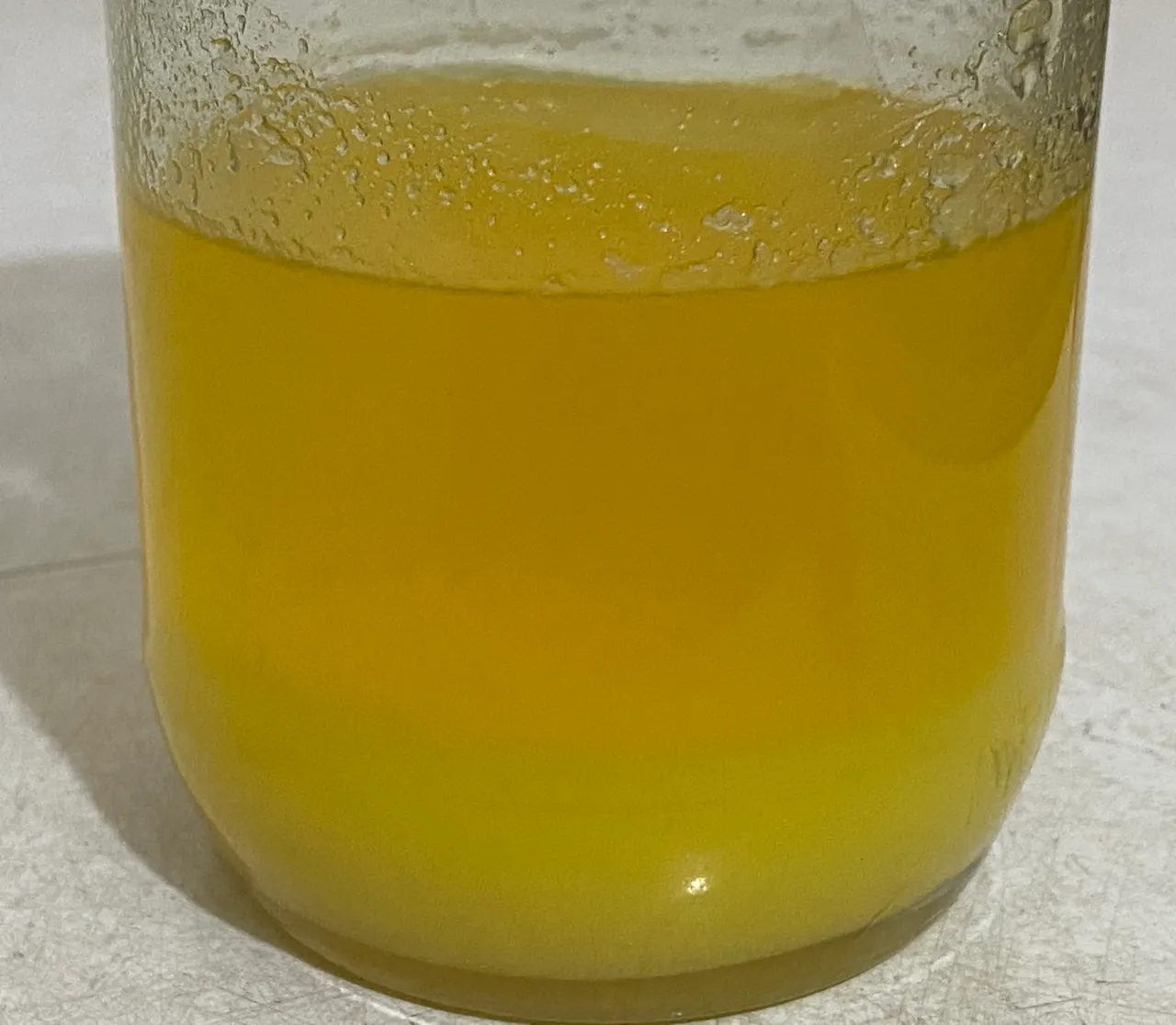 E4674835-A2D2-4635-9878-CF017ADFAB62.jpeg