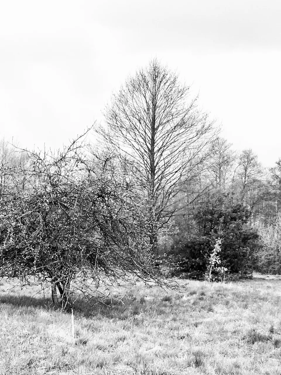 4D0502EA-6086-4A0C-845A-5D2F191BF864.jpeg