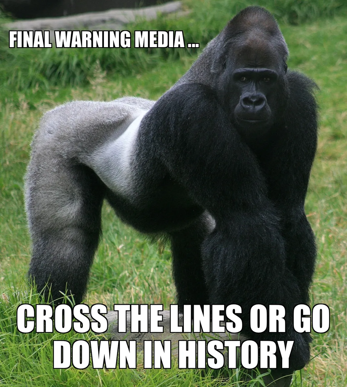 8E88C5FE-2639-446C-A3BE-29192C5341AC.jpeg