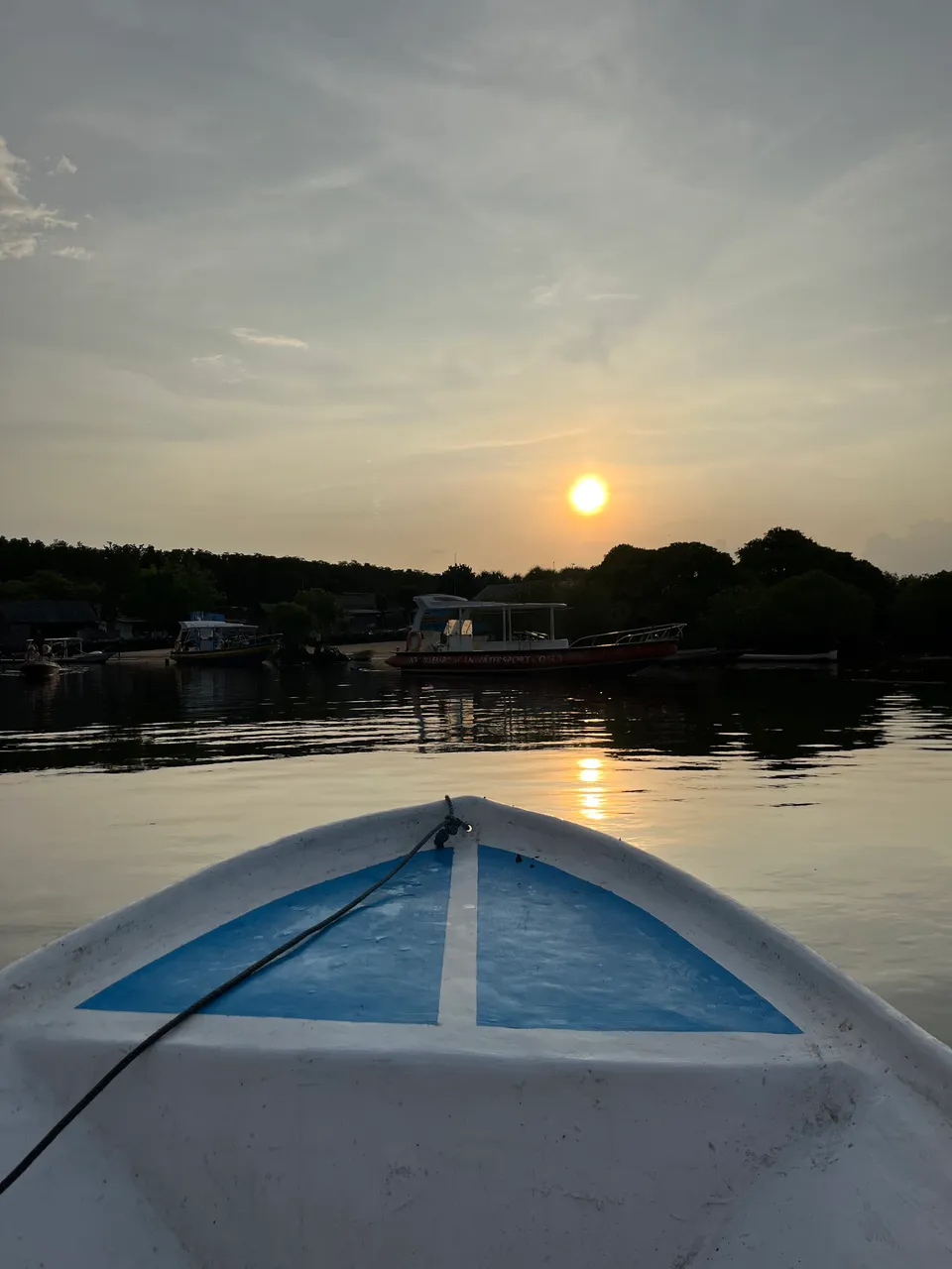 9C9A85FF-5379-485B-BA05-EEBD44D35444.jpeg