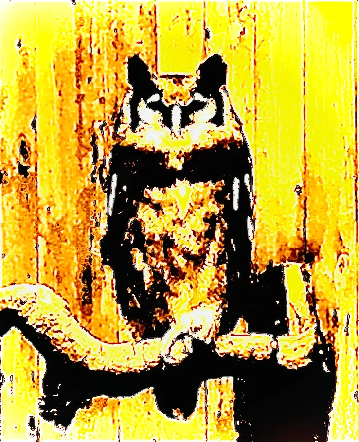 9C490191-A509-4F74-8566-1C72CA5D884E.jpeg