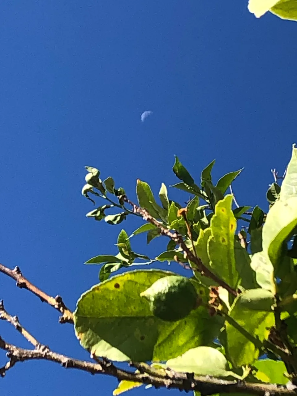 C4500259-4893-4959-9E70-D30ED13466A6.jpeg