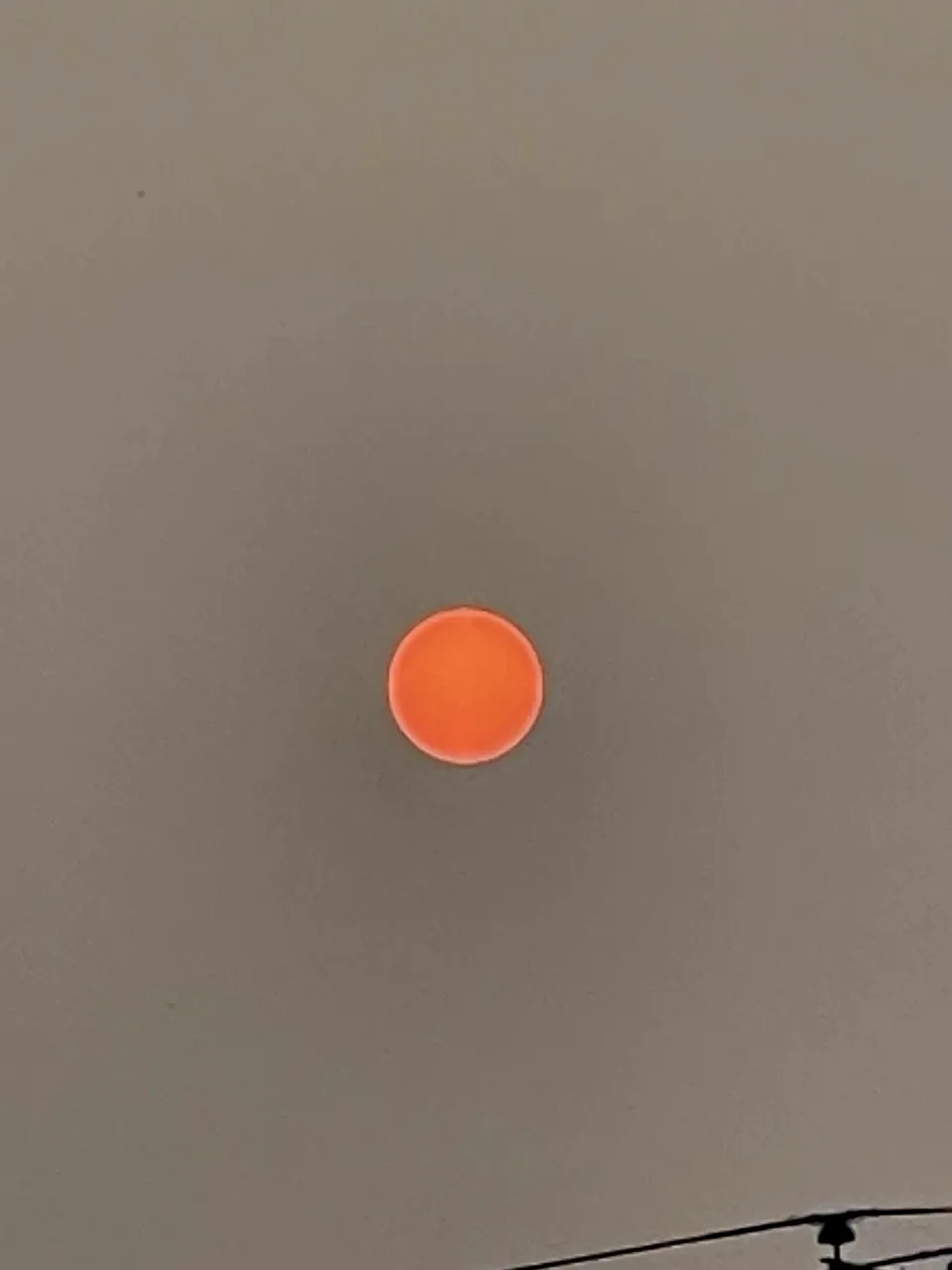 5A34F848-2C32-4769-9060-FAFF9EEBB30C.jpeg
