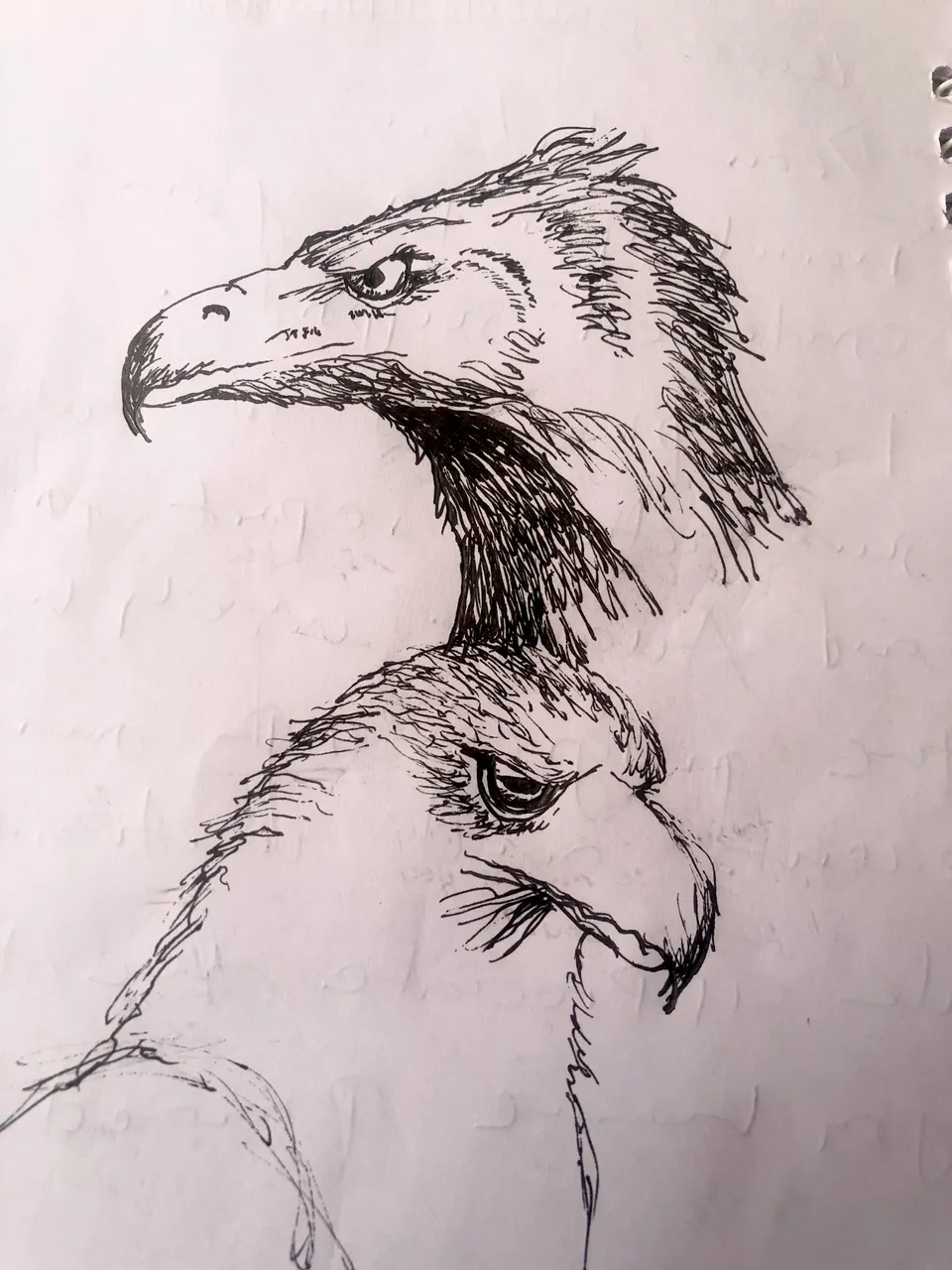 018FB5ED-095C-426D-9444-4DE37AF257E5.jpeg