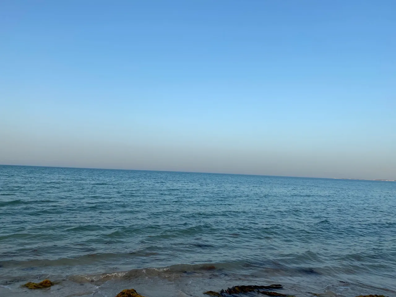 130065A8-975E-45C2-94A2-371463B8CEB1.jpeg