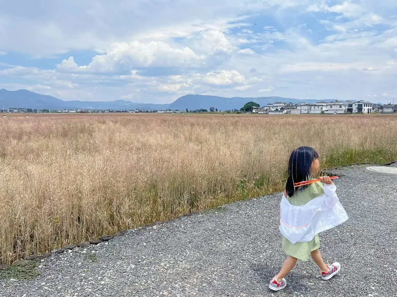 2250C503-FA96-429C-B644-D77340B8F006.jpeg