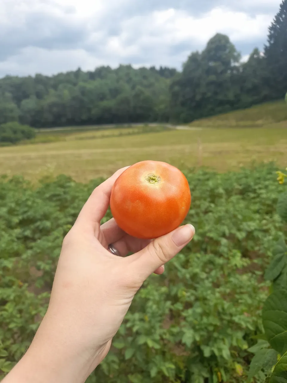 6e1998cb-07ef-4583-a7bb-5151160624a0.jpeg