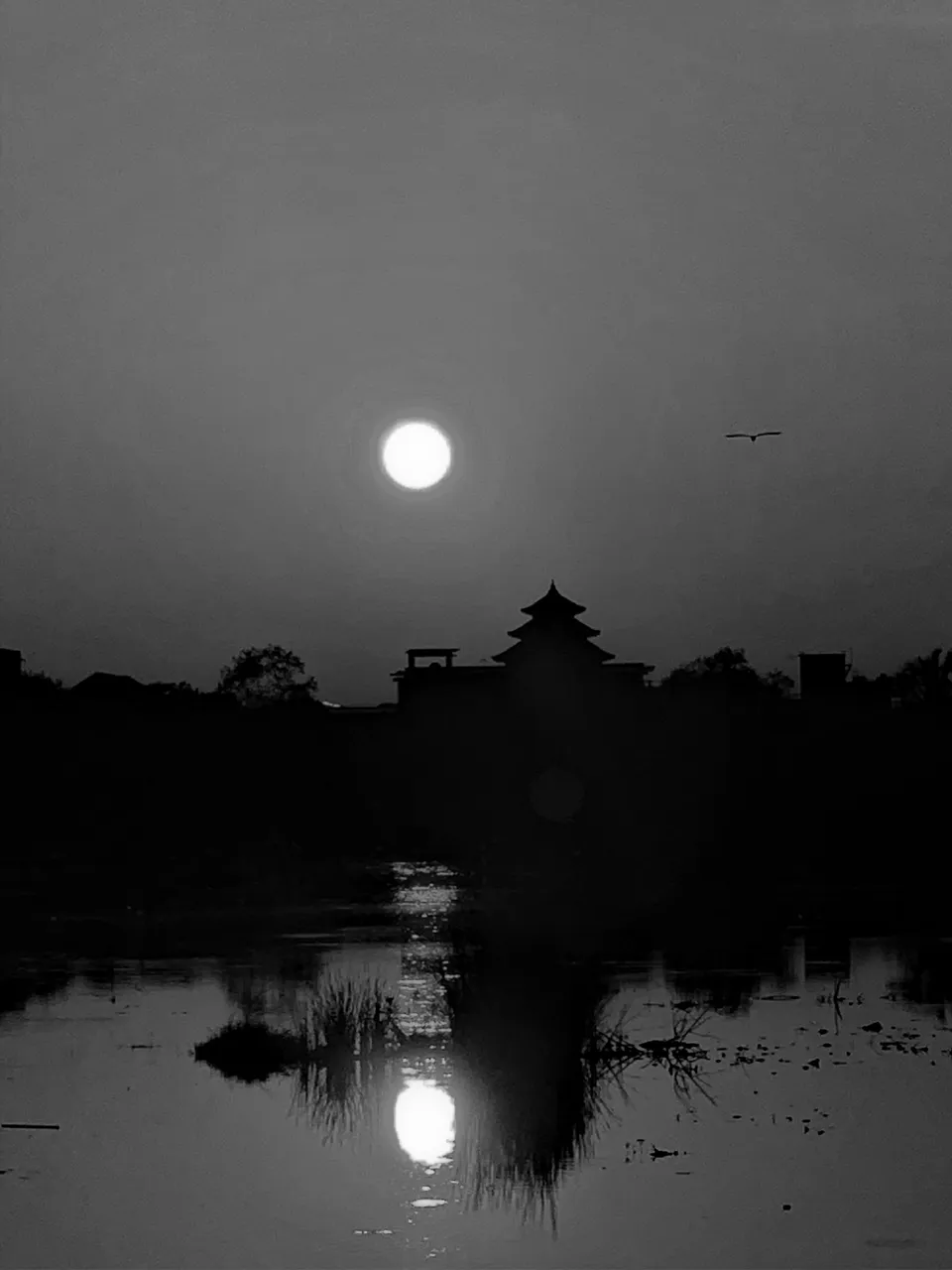 2D29A7C6-ECF2-4544-BF08-7EDEDF3AB975.jpeg