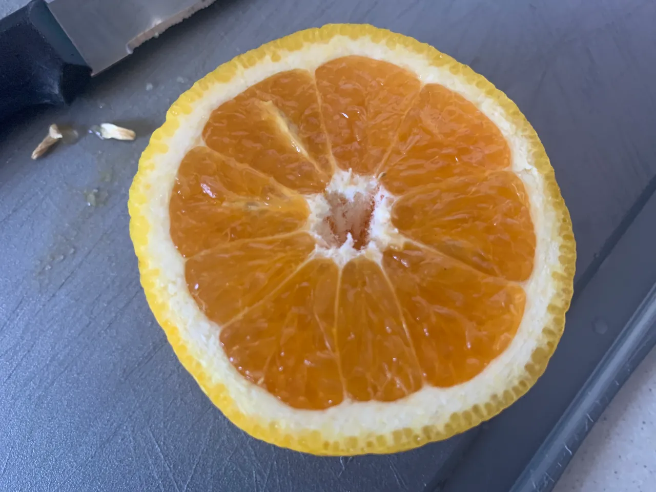 0700341A-F0A3-44FA-943B-B94C3BC8C59B.jpeg