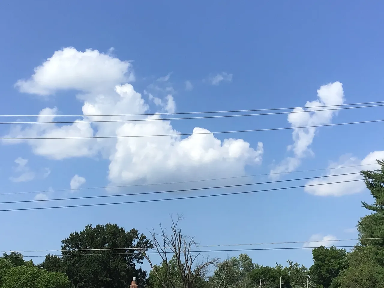 A6B808CB-7A1B-4493-AC9E-F0245B05C264.jpeg