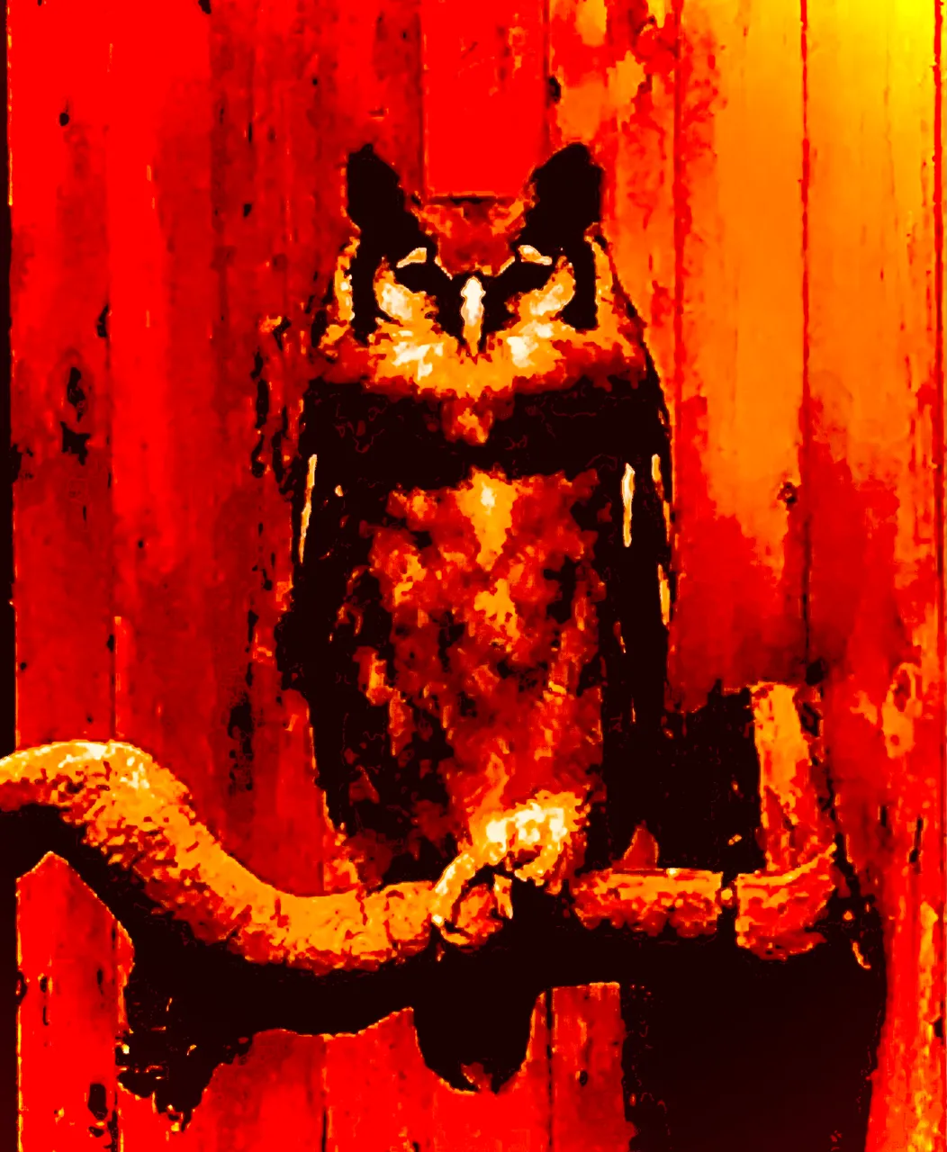 0262DA30-33EB-4F68-BA76-B12853BB488F.jpeg