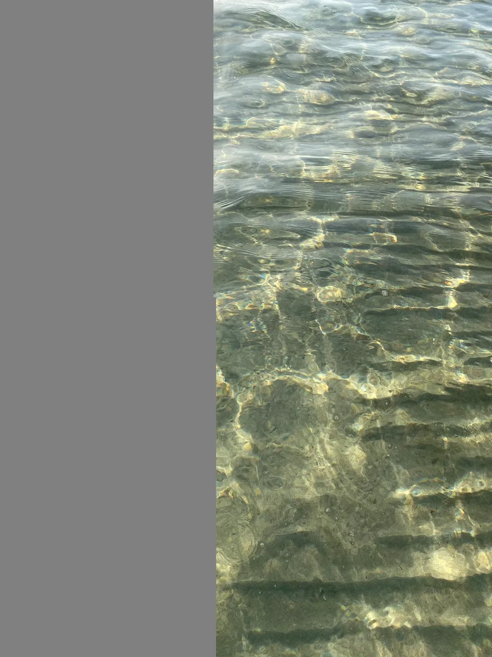 64638C86-F395-4519-A3E5-69394C257EE6.jpeg