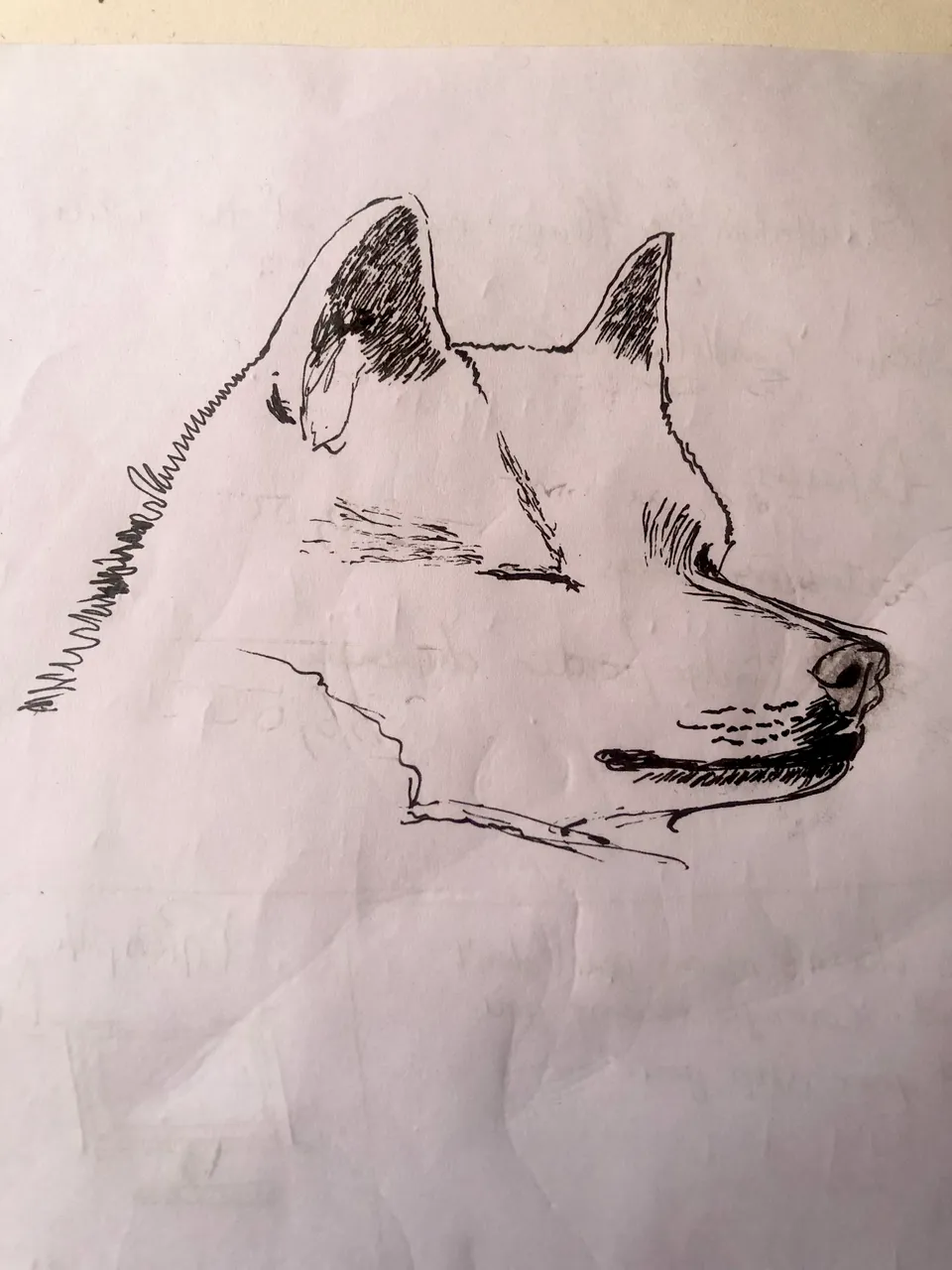 0D57B5A7-395D-43EB-A8AD-4B8EE532584D.jpeg