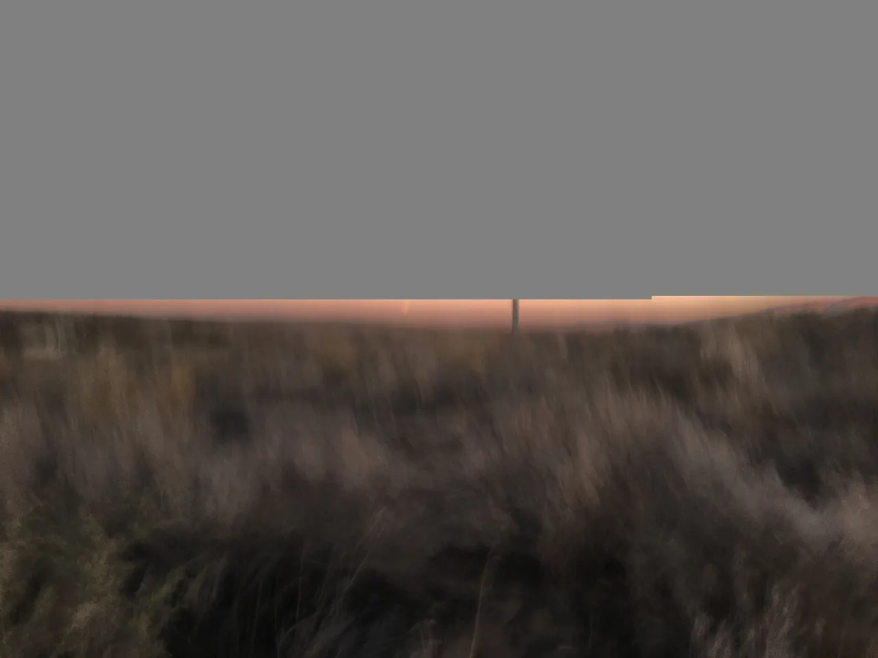 BB62564C-9921-4407-93EF-A344F10CC165.jpeg