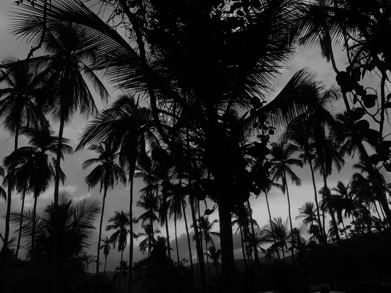 46C3DE11-67A1-4878-98EF-B4FC8B3D01A0.jpeg