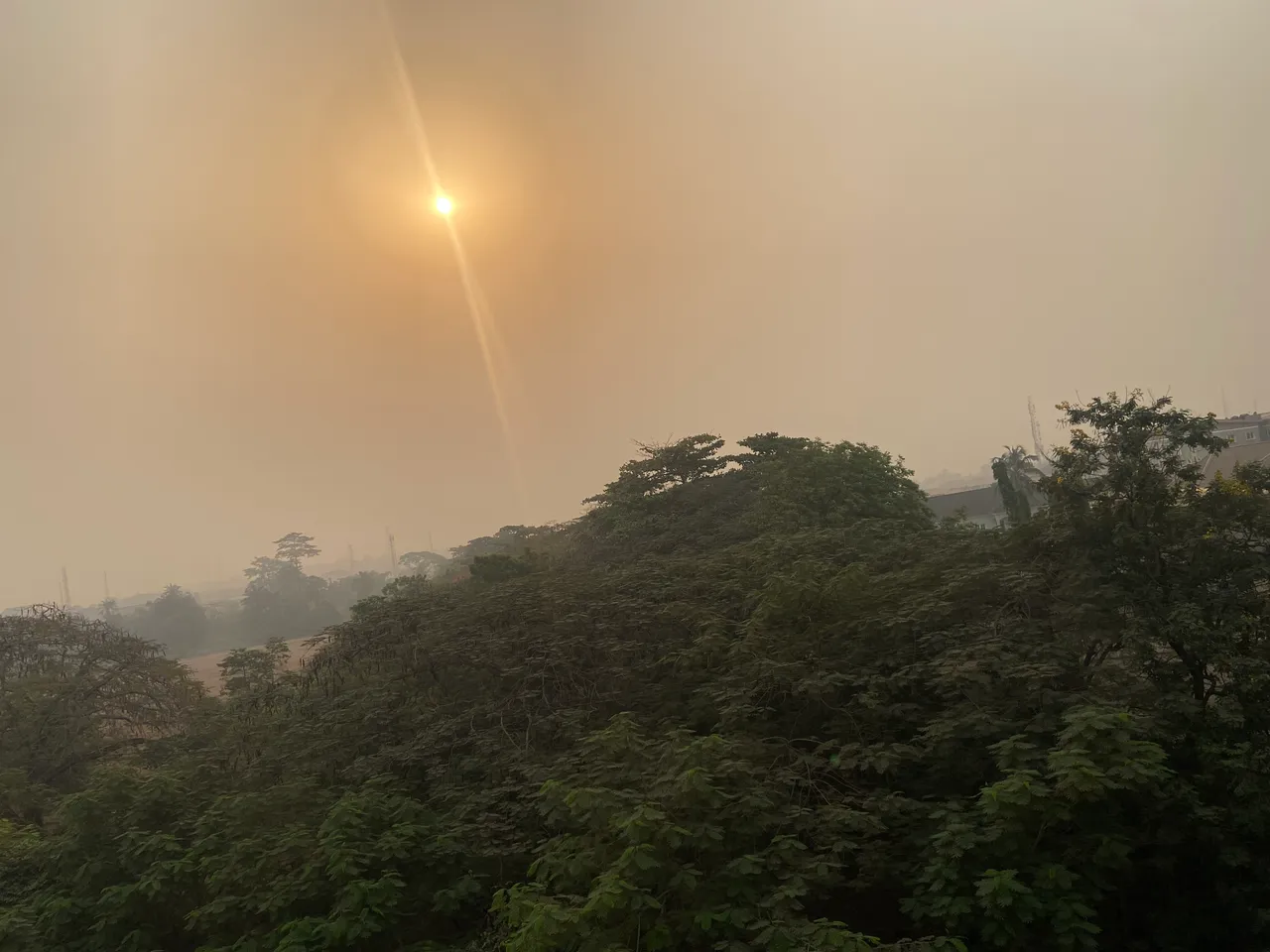 05CA721C-7603-4980-AC37-D8289AC7B611.jpeg