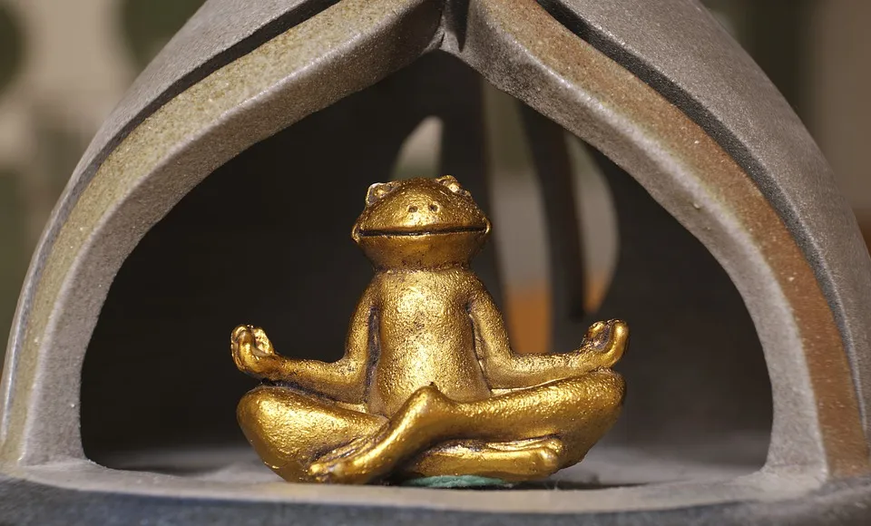 frog in meditation funny pixa.jpg