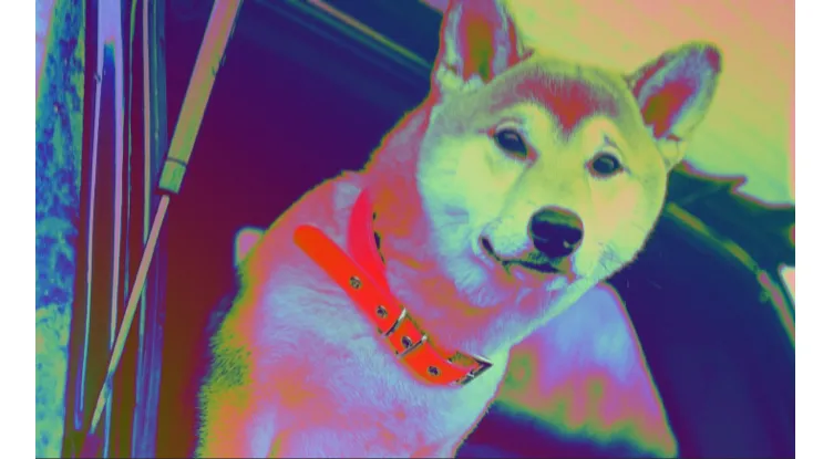 22C73E87-178C-4BA1-B9C1-DE7F58EF1F0F.jpeg